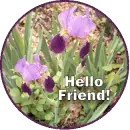 Hello friend