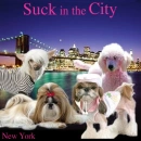 Sex In The City _ Puppies