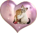 cute