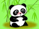 panda pink