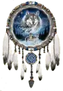 Cherokee - Tribe Name