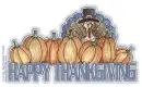 HAPPY THANKSGIVING Turkey n Pumpkins LF