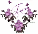 Tracey
