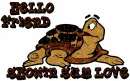 Greeting/Love Turtle