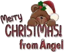 Merry Christmas from Angel