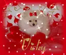 VICKY