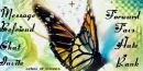 Pastel Butterfly