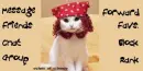 Bandana Cat