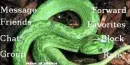 Green Snake