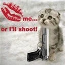 kitty