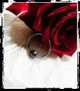 rose with piercing