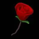 the phool