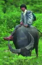Beautiful Myanmar