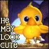 Cute Lil Ducky