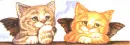 two angel cats