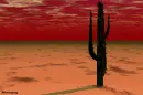  dark red spooky desert