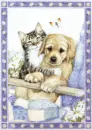 cute cat with dog