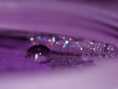 violet glow
