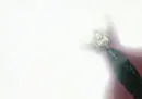 edward elric gif