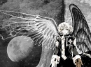 D.Gray Man