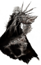 D.gray Man