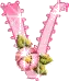 letter v