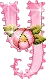 letter y