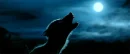 werewolf