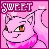 sweet wocky