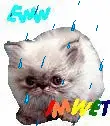 eww im wet