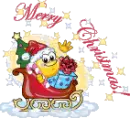 MERRY CHISTMAS