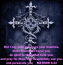 Love Your Enemies