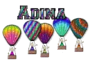Adina