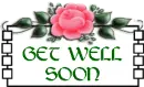 Get Well - Pink Rose