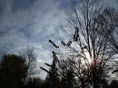 sky