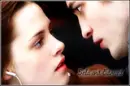 bella&edward