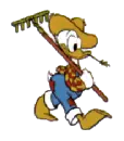 donald as a farmer