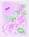 ann rose