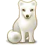 artic fox 