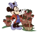 minnie picking apples