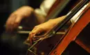 cello