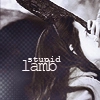 stupid lamb