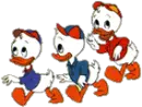 huey,duey and luey going for a walk