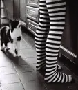 Stripes and Kitty ^_^