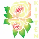 Changing Rose with Kitten