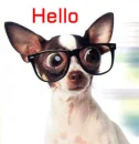 hello