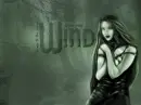 wind