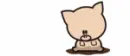 piggy