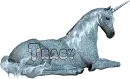 tracy unicorn
