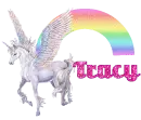 tracy rainboy unicorn